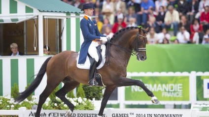 team nijhof, hengst, Johnson, stallion, dressage, hans peter minderhoud