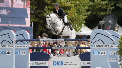 quality time, hengst, stallions team nijhof, jumping, jeroen dubbeldam