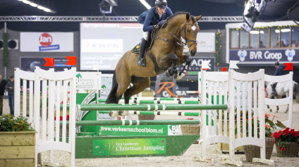 hengst, stallion, team nijhof, jumping, hengstenhouderij