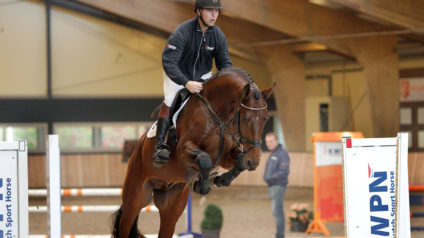 hengst, stallion, hengstenhouder, team nijhof, springen, hernandez