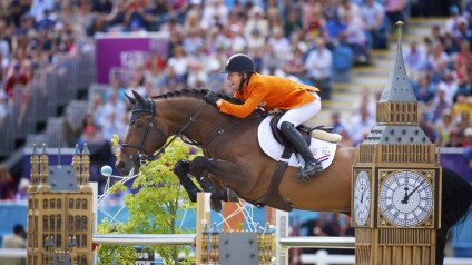 verdi, stallions, hengsten, jumping, team nijhof